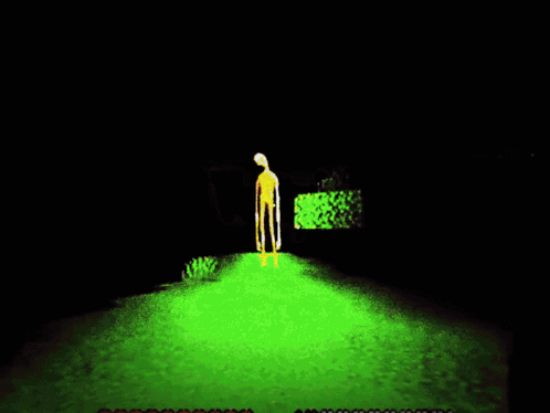 A Smiley Face Is Floating In The Grass GIF