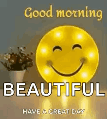 A Smiley Face Is Sitting On A Table Next To A Potted Plant And Says `` Good Morning Beautiful Have A Great Day '' . GIF