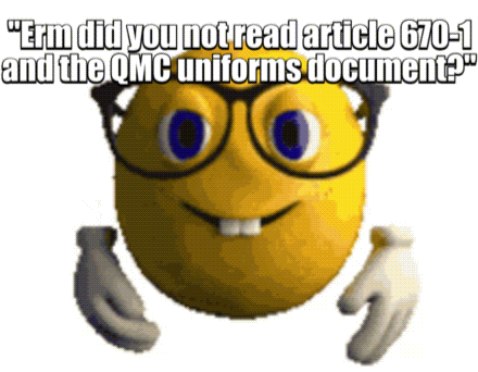 a smiley face with glasses and the words " erm did you not read article 670-1 and the qmc uniforms document " written on