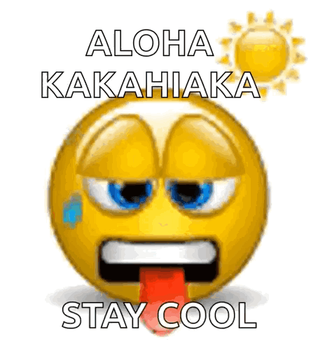 A Smiley Face With The Words Aloha Kakahiaka Stay Cool GIF