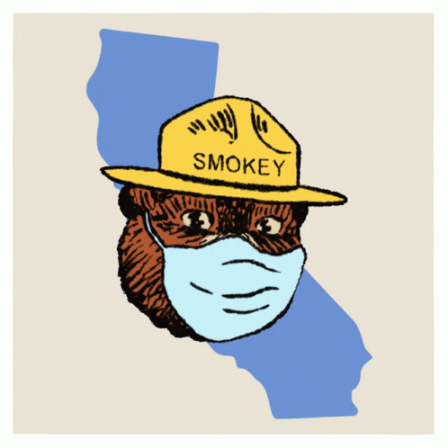 A Smokey Bear Wearing A Mask And A Hat That Says Smokey GIF