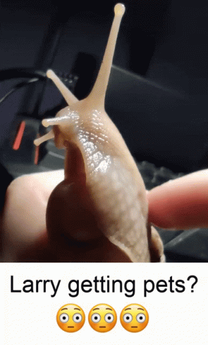 A Snail Is Being Held In Someone 'S Hand And The Caption Says " Larry Getting Pets " GIF