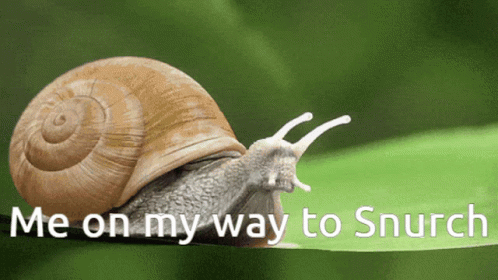 A Snail Is Crawling On A Green Leaf With The Words Me On My Way To Snurch GIF