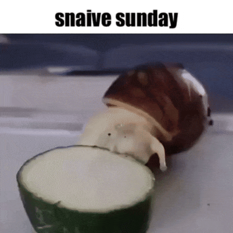 A Snail Is Crawling On A Slice Of Cucumber With The Caption Snaive Sunday GIF