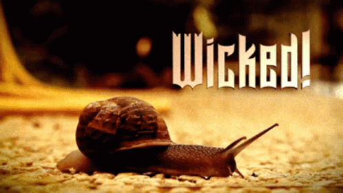 A Snail Is Crawling On The Ground With The Words Wicked Written Above It GIF