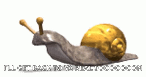 A Snail With The Words " I 'Ll Get Back To Ya Real Soooooon " Written Below It GIF