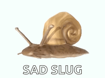 A Snail With The Words Sad Slug Written Below It GIF