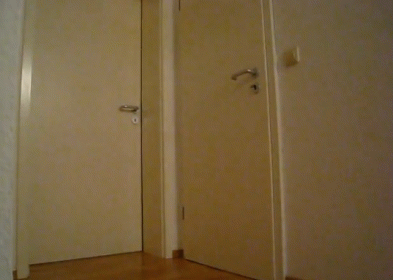 A Snake Is Crawling Out Of A Doorway In A Room GIF