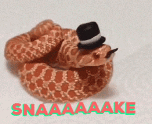 A Snake Wearing A Top Hat With The Words Snaaaaake Written Below It GIF