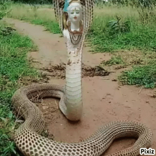 a snake with a statue of shiva on its head