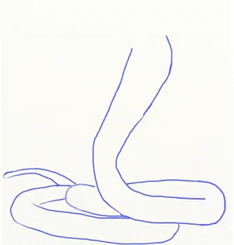 A Snake With Its Mouth Open And A Long Tail GIF
