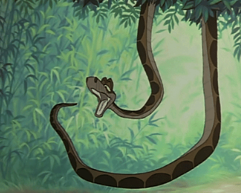 A Snake With Its Mouth Open Is Hanging From A Tree Branch GIF