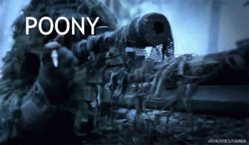 A Sniper In A Camouflage Uniform Is Holding A Rifle With The Word Poony Above It GIF
