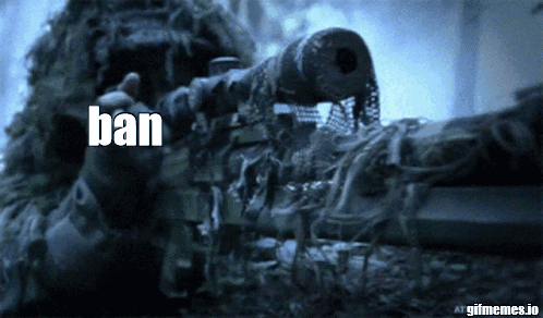 A Sniper In A Ghillie Suit Is Pointing A Gun And The Word Ban Is Visible GIF