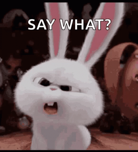 Snowball From Secret Life Of Pets Saying Say What GIF