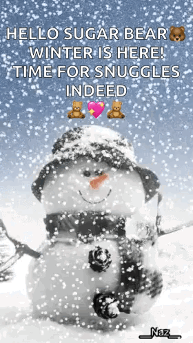 A Snowman With A Hat And Scarf Is Standing In The Snow GIF