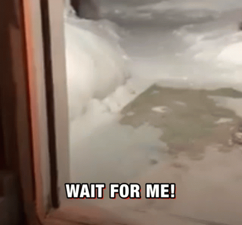 A Snowy Area With The Words Wait For Me Written Above It GIF