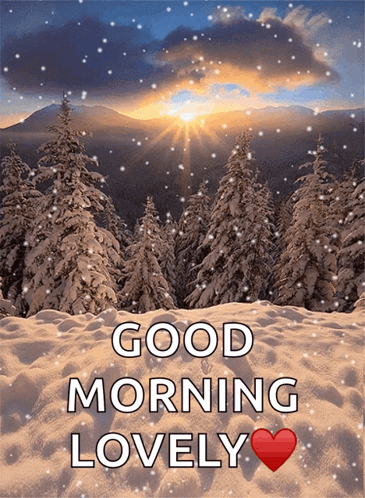 A Snowy Forest With The Words Good Morning Lovely On It GIF