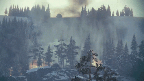A Snowy Forest With Trees And Smoke Coming Out Of It GIF