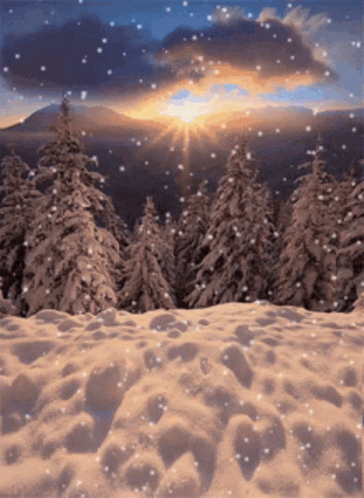 A Snowy Forest With Trees Covered In Snow And A Sunset In The Background GIF