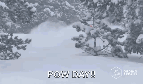 A Snowy Forest With Trees Covered In Snow And The Words Pow Day Written On The Bottom . GIF