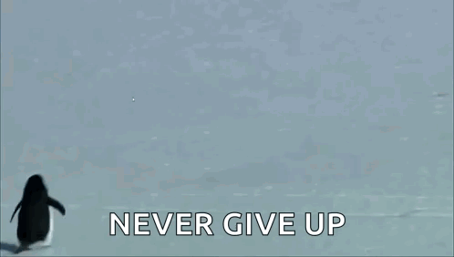 A Snowy Landscape With The Words Never Give Up GIF