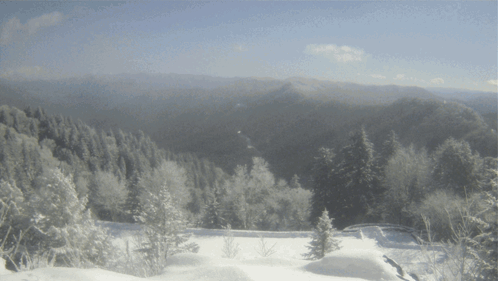 A Snowy Landscape With Trees Covered In Snow And Mountains In The Background GIF