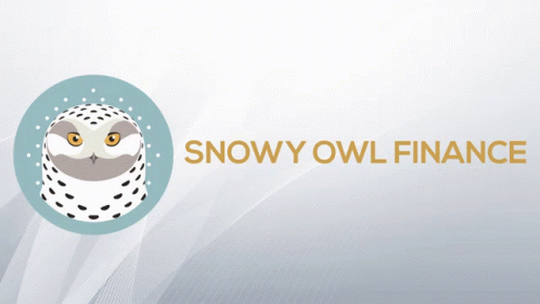 A Snowy Owl In A Blue Circle And A Snowy Owl In A Black Circle On A Gray Background GIF