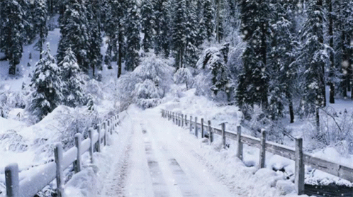 A Snowy Road With A Wooden Fence And Trees On Both Sides GIF