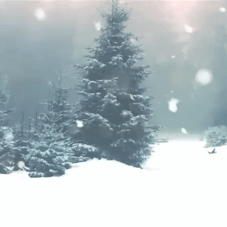 A Snowy Scene With A Tree In The Foreground GIF