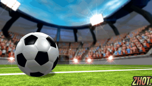 A Soccer Ball On A Field With A Zhot Logo GIF
