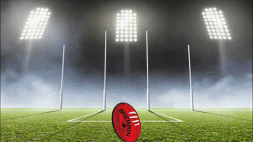 A Soccer Ball That Says Sherrin On It Is On A Field GIF