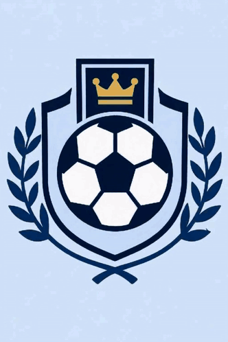 a soccer ball with a crown and laurel wreath on it