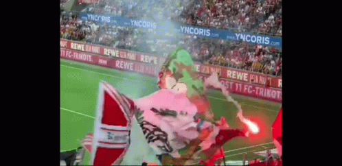 a soccer field with a banner that says yncoris.com