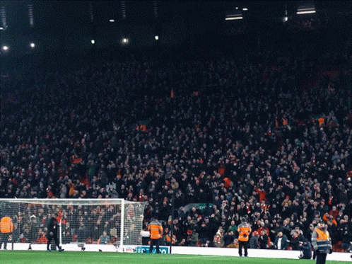 a soccer field with a crowd and a sign that says ' stv '