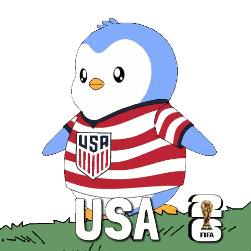 a soccer field with a soccer ball and the word usa