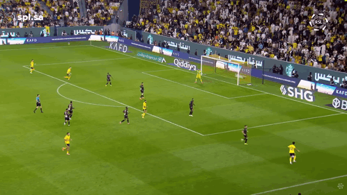 A Soccer Field With Ads For Kafd And Shg On The Side GIF
