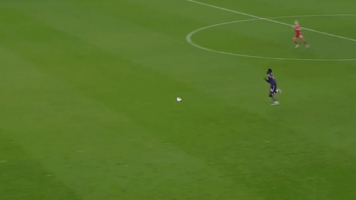 A Soccer Field With An Ad For Goodrich On The Side Of It GIF