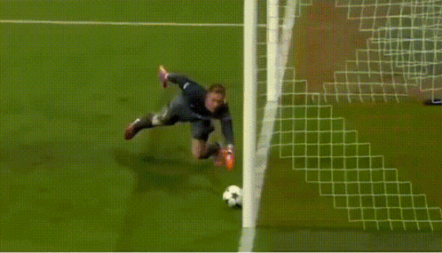 A Soccer Field With The Word Hyundai On The Side GIF