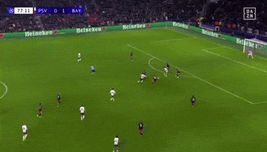 a soccer game is being played between psv and bay with heineken ads on the sidelines