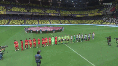 A Soccer Game Is Being Played In A Stadium That Says Fenerbahce GIF