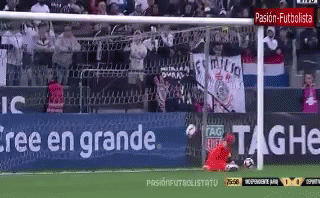 a soccer game is being played in a stadium with a banner that says ' free en grande ' on it