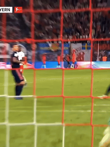 a soccer game is being played in a stadium with the word bayern on the bottom