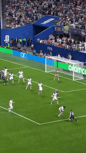 A Soccer Game Is Being Played On A Field That Has Fifa Written On The Fence GIF