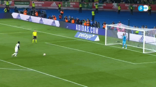 A Soccer Game Is Being Played On A Field With An Ad For Pelayo In The Corner GIF