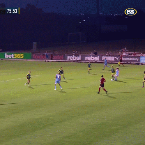 a soccer game is being played on fox sports channel