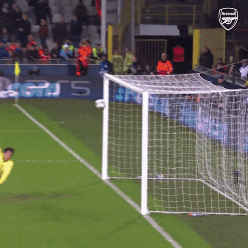 a soccer goal with the arsenal logo on the back