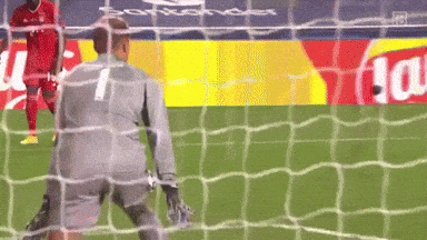 a soccer goalie stands in front of a net with a lay 's advertisement in the background