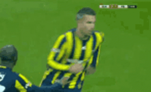 a soccer player in a yellow and blue striped jersey is being tackled by another player