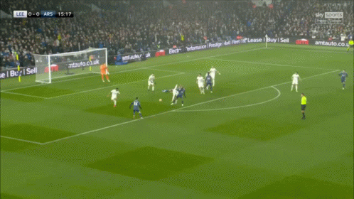 a soccer player is celebrating a goal during a match on sky sports